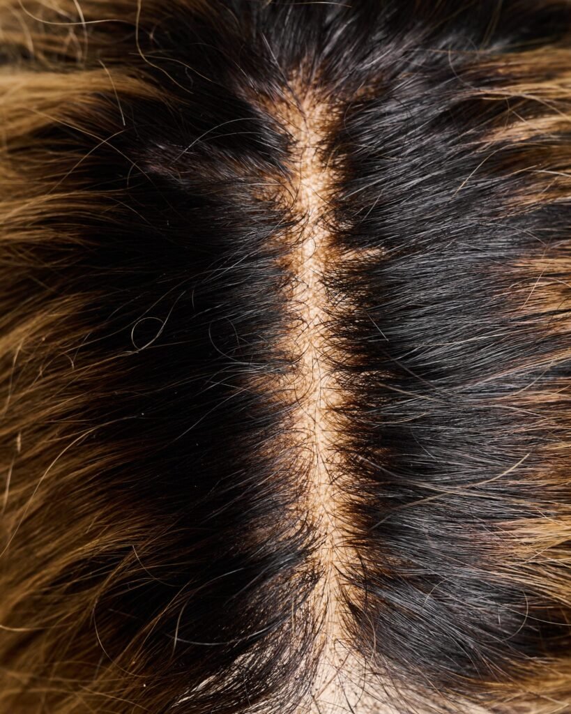 Session_Wig_054